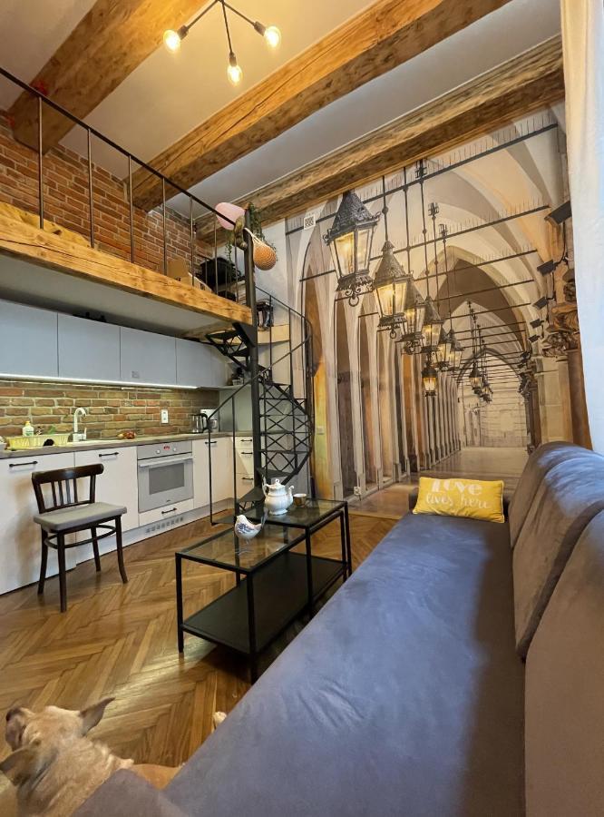 Family Suite Krasków Εξωτερικό φωτογραφία