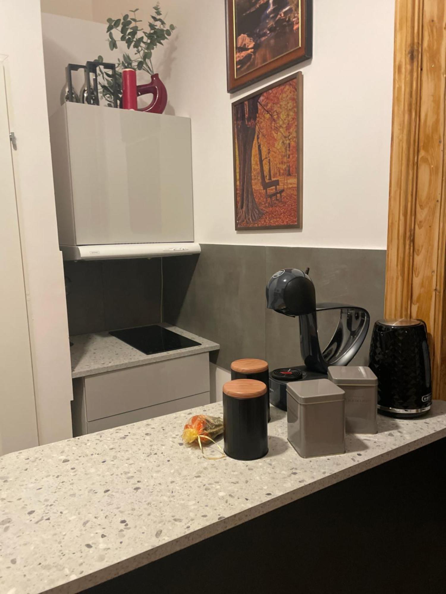 Family Suite Krasków Εξωτερικό φωτογραφία